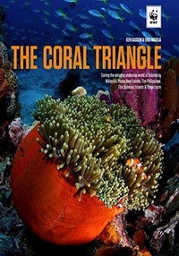 Постер «Великие тайны Кораллового треугольника»