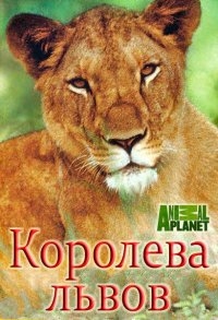 Постер «Королева львов»