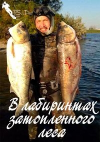 Постер «В лабиринтах затопленного леса»