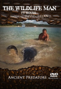 Постер «Чудеса дикой природы с Девидом Айрлендом»