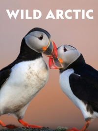 Постер «Дикая Арктика»