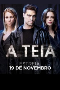 Постер «Сеть (2018)»