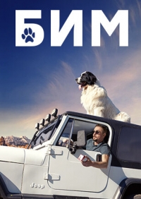 Постер «Бим»