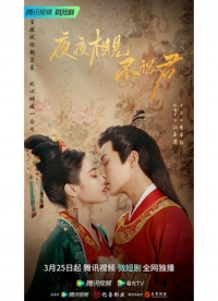 Постер «Встречаю тебя каждую ночь, но не знаю»