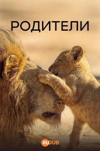 Постер «Родители (2025)»