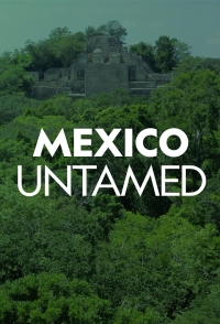 Постер «Непокорная Мексика»