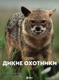 Постер «Дикие охотники»