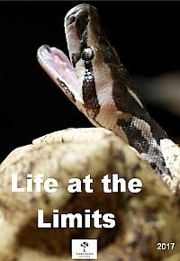 Постер «Жизнь на грани»